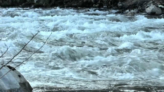 Fishing High Water - Big T Fly Fishing