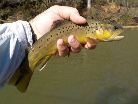 Long After The Stain Has Gone - Big T Fly Fishing