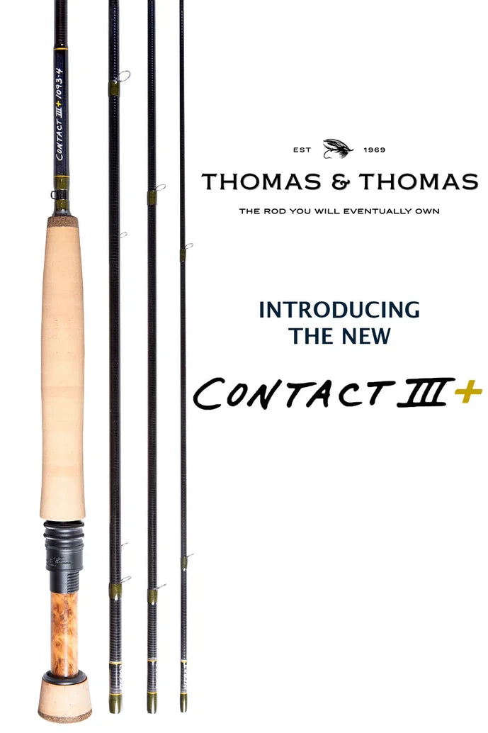 Thomas and Thomas Contact III+