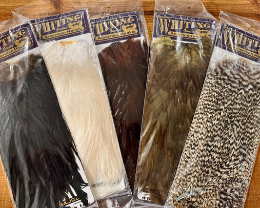 Whiting American Rooster Saddle