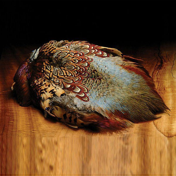 Ringneck Pheasant Skin - Big T Fly Fishing