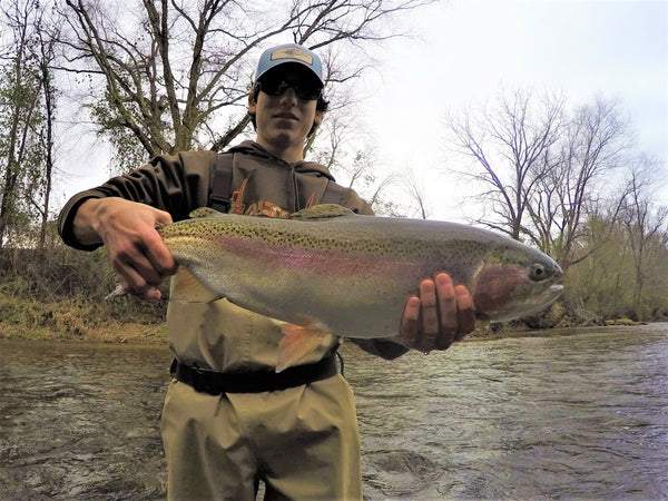 Guided Fly Fishing Trip at The Meadows at Fern Valley