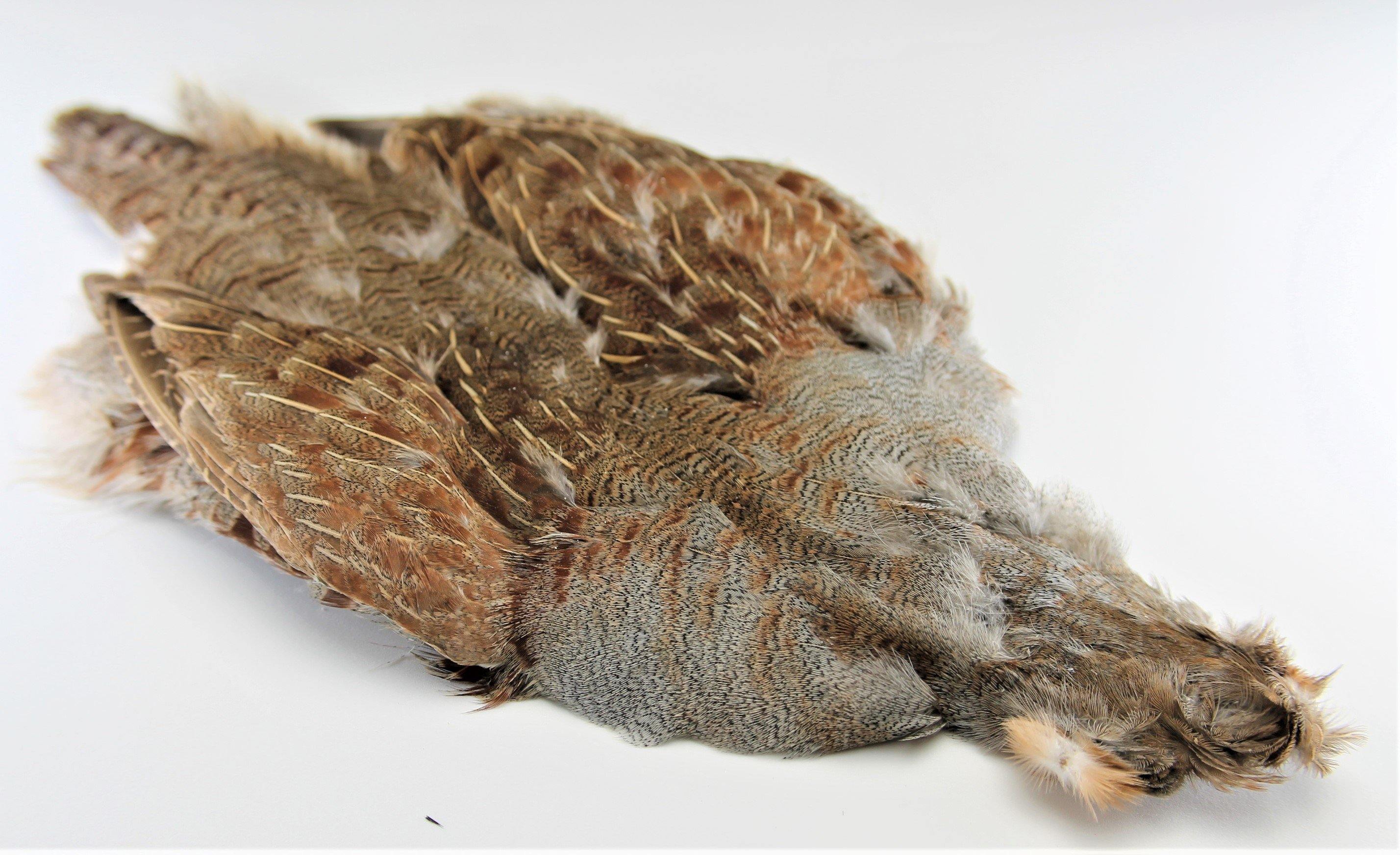 Hungarian Partridge Whole Skin - Big T Fly Fishing