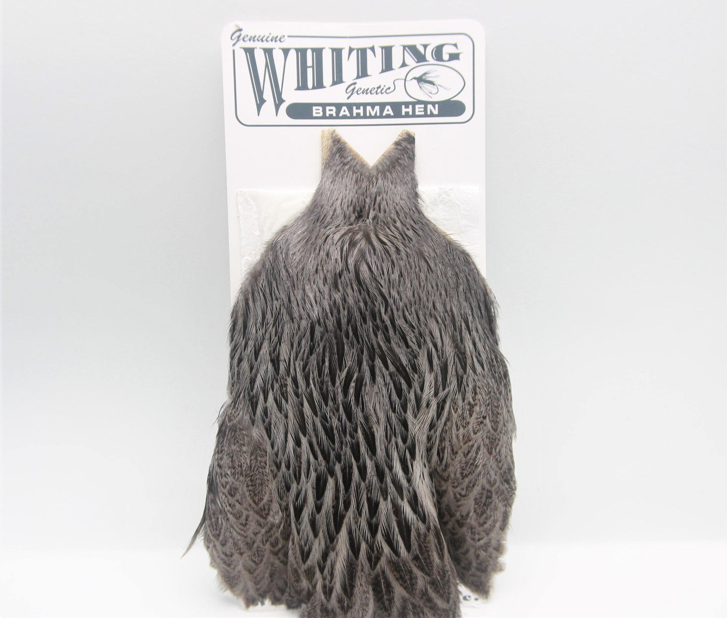 Whiting Brahma Hen Cape - Big T Fly Fishing