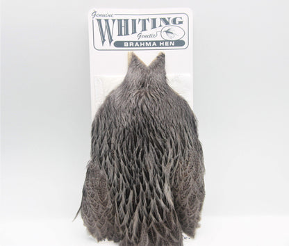 Whiting Brahma Hen Cape - Big T Fly Fishing