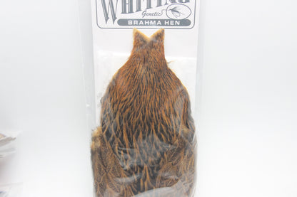 Whiting Brahma Hen Cape