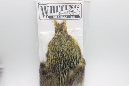 Whiting Brahma Hen Cape