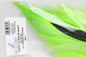 Select Bucktail