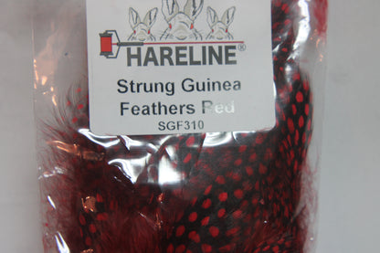 Strung Guinea Feathers