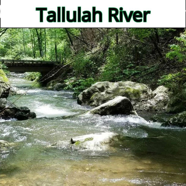 Guided Trip - Upper Tallulah River